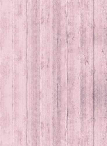 批发价格低廉的网站攻击软件工具